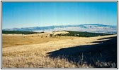 Pryor Mountain Wild Horse Range, Montana