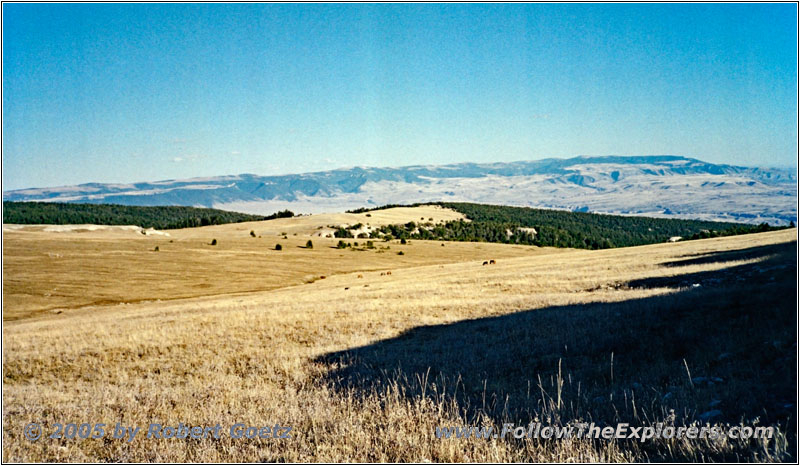 Pryor Mountain Wild Horse Range, Montana