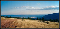 Pryor Mountain Wild Horse Range, Montana