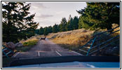 Wild, Pryor Mountain Rd zurück, Montana