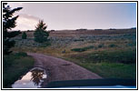 Wild, Pryor Mountain Rd zurück, Montana