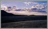 Pryor Mountain Rd zurück, Montana