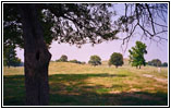 Cahokia Mounds