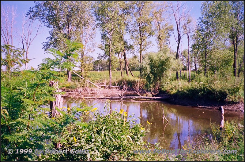 Wet Land Missouri River, MO