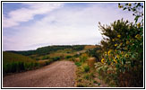 Backroad, Nebraska