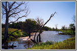 Backroad, SD Backroad, SD