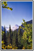 Glacier National Park, MT Glacier National Park, MT