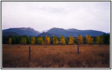 Old Darby Road, Montana