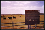 Weippe Prairie, Montana