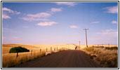 Washboard Road, WA Washboard Road, WA