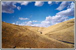 Backroad, Washington