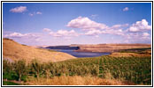 Snake River, WA