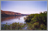 Columbia River, Horsethief Lake State Park, Washington