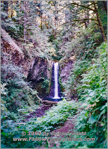 Larch Mountain Trail, Multnomah Creek, OR Larch Mountain Trail, Multnomah Creek, OR