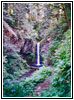 Larch Mountain Trail, Multnomah Creek, OR Larch Mountain Trail, Multnomah Creek, OR