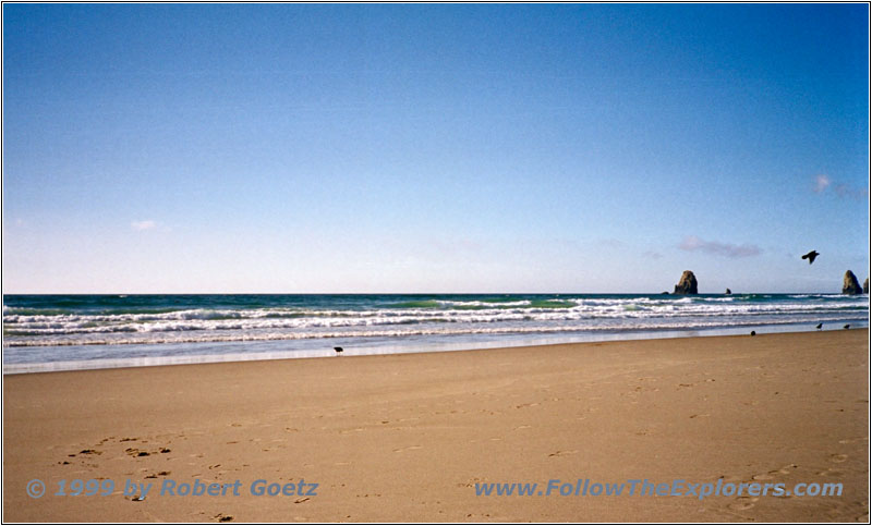 The Needles, Cannon Beach, Oregon