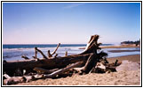 Pacific Ocean, Washington