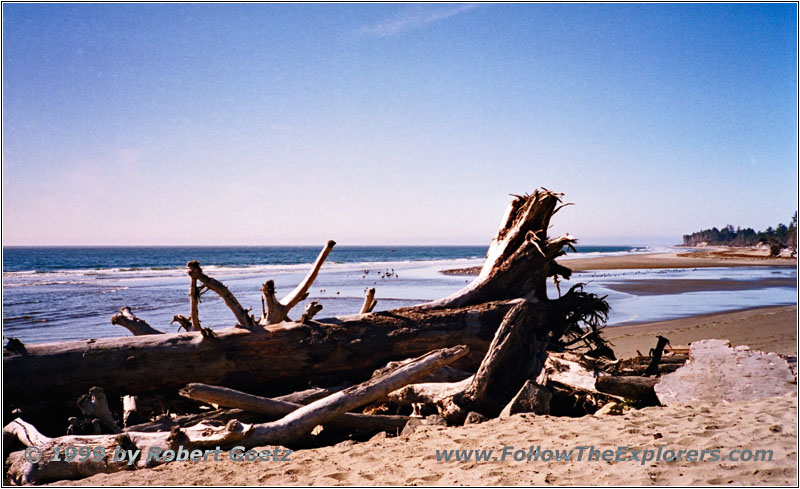 Pacific Ocean, Washington