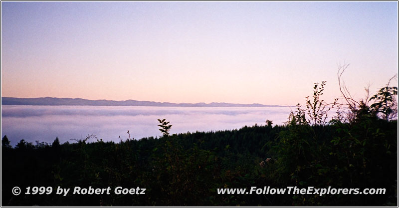 Above the clouds on Highway 113, WA