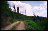 Forest Road FR5620, ID Forest Road FR5620, ID