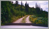 Forest Road FR5620, ID Forest Road FR5620, ID