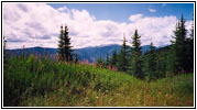 Forest Road FR369, ID Forest Road FR369, ID