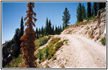 Lolo Motorway, FR500, ID Lolo Motorway, FR500, ID
