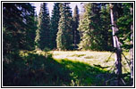 Sinque Hole Camp, Lolo Motorway, FR500, ID Sinque Hole Camp, Lolo Motorway, FR500, ID