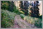 FR485, ID FR485, ID