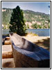 Lewis & Clark Canoe Camp, ID Lewis & Clark Canoe Camp, ID