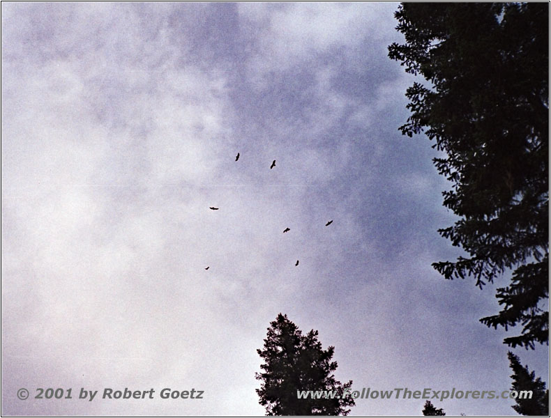 Eagles FR100, ID Eagles FR100, ID