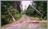 FR5122, ID FR5122, ID