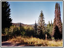 Bitterroot Berge, Erster Zeltplatz Rückweg am Lolo Motorway, Forststraße FR485, Idaho