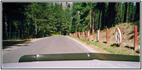 Ninemile Prairie Road, Montana