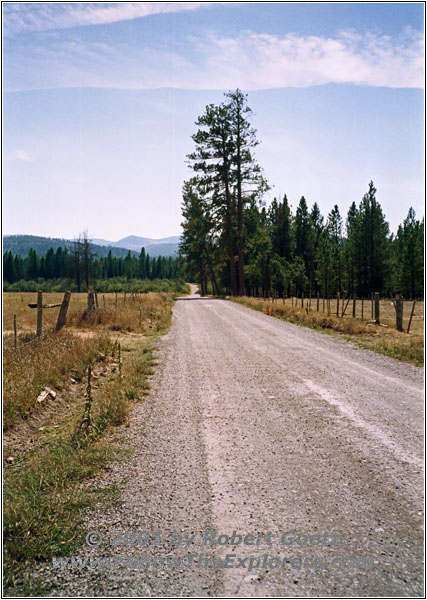 RD110, MT RD110, MT