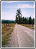 RD110, MT RD110, MT