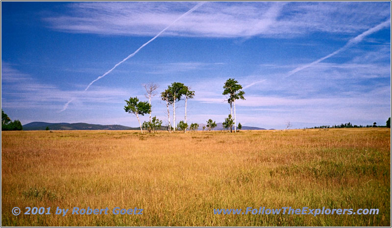 Alice Creek Road, MT Alice Creek Road, MT