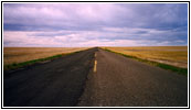 Morony Dam Road, MT Morony Dam Road, MT