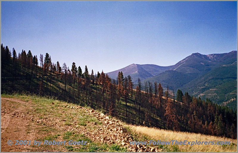 Bitterroot Big Hole Road, FR106, MT Bitterroot Big Hole Road, FR106, MT