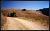 Bitterroot Big Hole Road, FR106, MT Bitterroot Big Hole Road, FR106, MT
