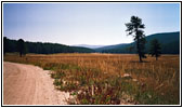 Bitterroot Big Hole Road, FR106, MT Bitterroot Big Hole Road, FR106, MT