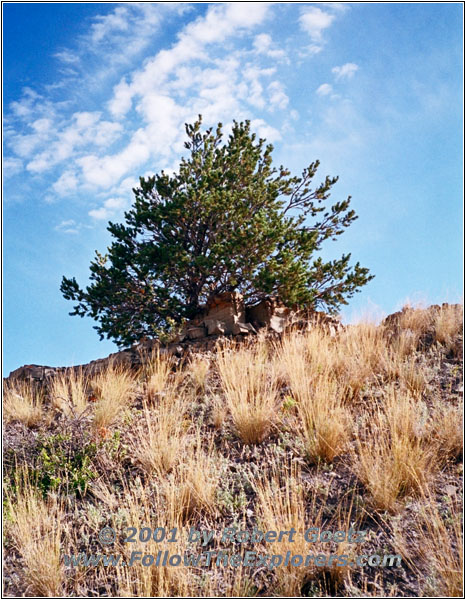 Convict Grade Road, Montana