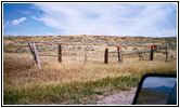 Reh an der N Yellowstone Trail Road, Montana