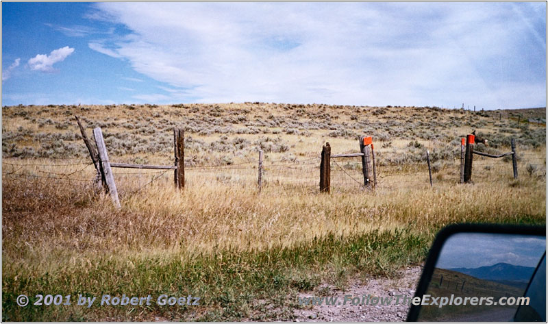 Reh an der N Yellowstone Trail Road, Montana