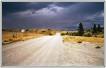 Trees Road, Montana