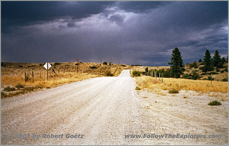Trees Road, MT Trees Road, MT