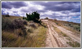 Valley Loop Drive, Makoshika State Park, MT