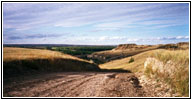 RD350, Montana RD350, Montana