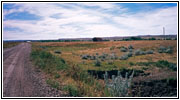 Highway 528, MT Highway 528, MT