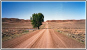 Willow Creek Road, Montana